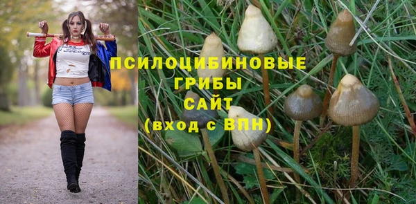 синтетический гашиш Алексеевка