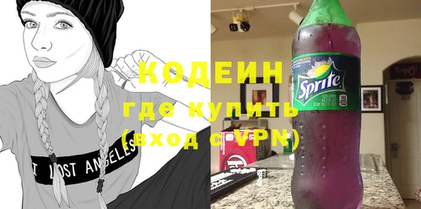 соль ск Инсар