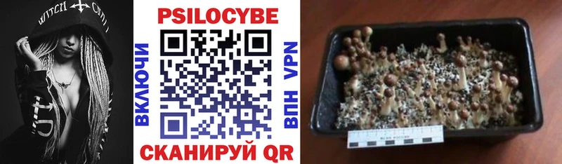 мориарти наркотические препараты Сольвычегодск Галлюциногенные грибы Cubensis гидра ссылка